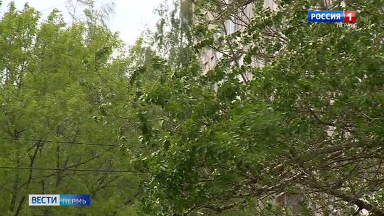 В Прикамье устраняют последствия непогоды