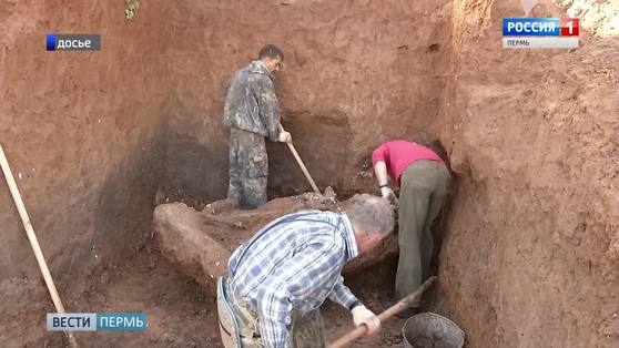 Войди в историю: добровольцев приглашают в палеонтологическую экспедицию
