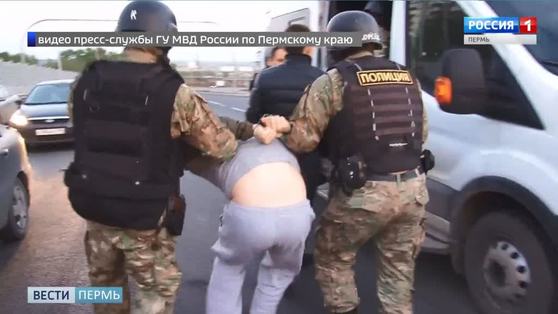 В Кунгурском районе два брата выращивали коноплю в теплице на чердаке