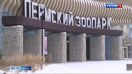 Пермский зоопарк работает по новому графику