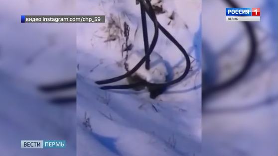 Видеофакт: оголенный провод рядом с пешеходной дорожкой