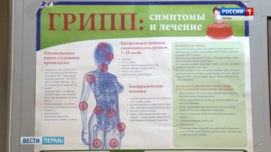 В 12 территориях Прикамья действует карантин из-за гриппа, скоро объявят еще в 4 районах