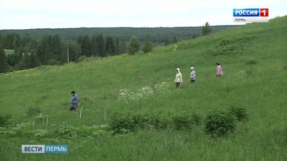 5 дней в лесу. Заблудившихся пенсионеров нашли