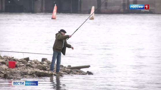 До 15 июня в Прикамье введён запрет на любительское рыболовство