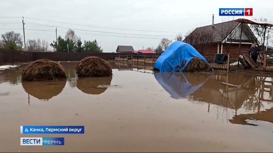 В Пермском муниципальном округе затоплено более 40 приусадебных участков