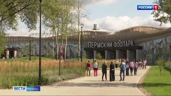 С 1 по 10 октября вход в Пермский зоопарк для пенсионеров будет бесплатным
