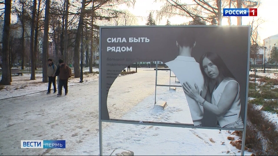 Объявлен сбор на восстановление испорченной вандалами выставки "Сила быть рядом"