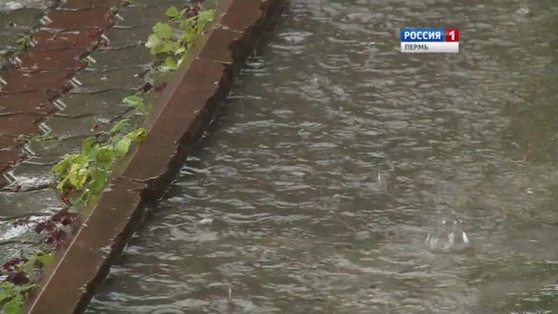 В зоне осадков. Надолго ли в Прикамье пришли дожди?