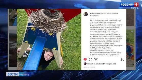 Глава Прикамья поздравил с Днем защиты детей фотографией с птенцами в гнезде 
