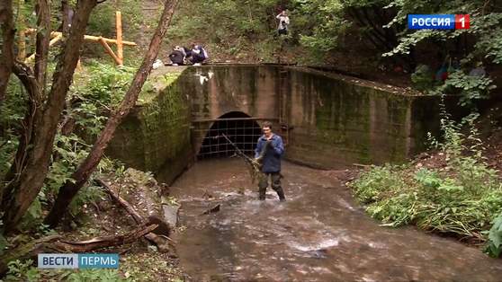 Творить добро: Большая волонтерская неделя стартовала