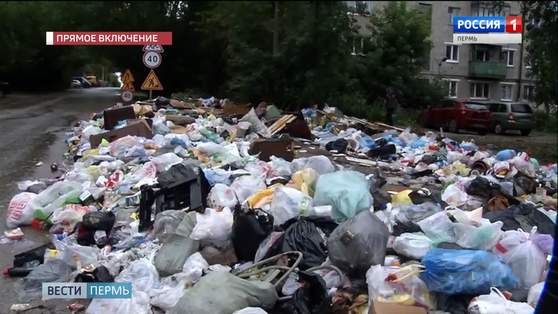 Мусорная реформа в действии: микрорайон Судозавод превращается в свалку