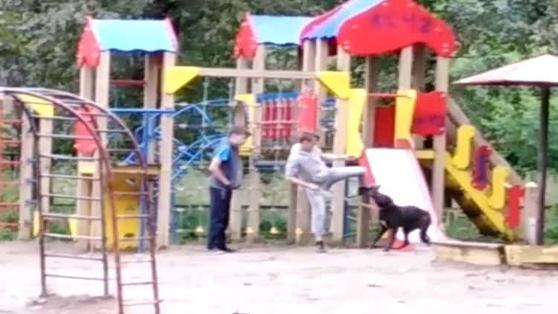 "Мы тебя так же, как ту собаку привяжем". Пользователи соцсетей угрожают расправой подростку, избившему пса