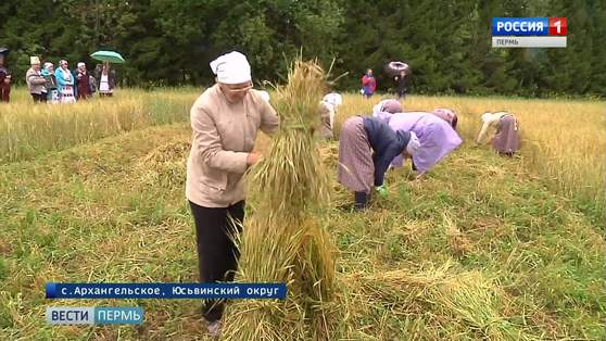Зажинки - праздник первого снопа