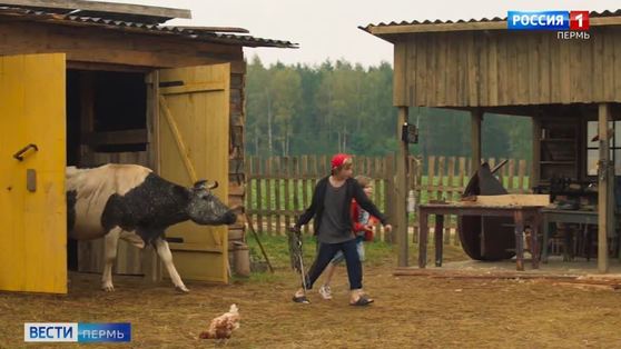 Семейный фильм "На деревню дедушке" стал хитом летнего кинопроката