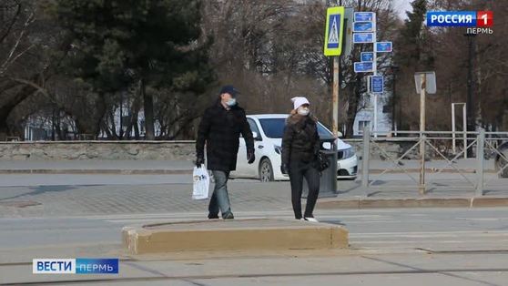 В Прикамье появится система электронных пропусков для выхода на работу в период самоизоляции