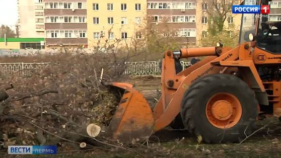 В Перми на улице 1-й Красноармейской в сквере трех поколений спилили все деревья
