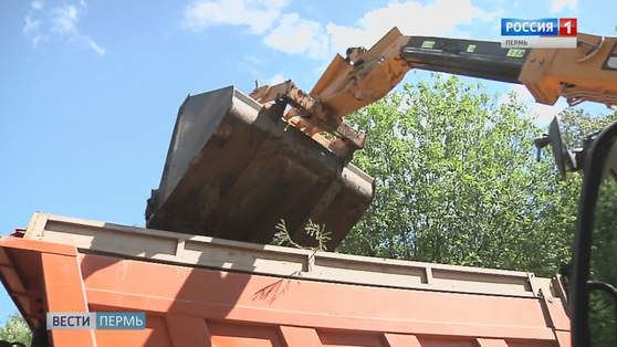 Зелёная реформа: в крае ликвидировано около 200 незаконных свалок