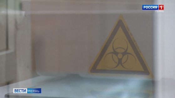 Медики Прикамья начали проходить онлайн-курсы помощи при коронавирусе