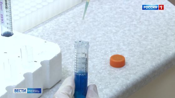 От коронавирусной инфекции оправилось ещё 206 жителей Прикамья