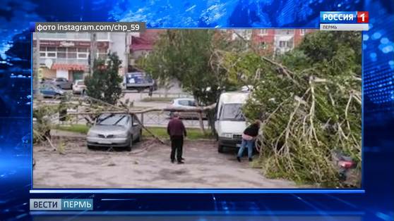 3 человека пострадали в Пермском крае из-за шквалистого ветра