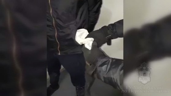 В Перми будут судить закладчиков, задержанных с поличным 