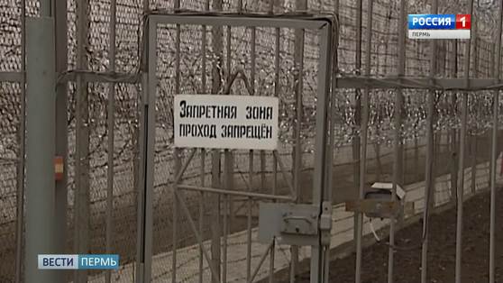 В Губахе мошенник совершил преступления, находясь в колонии