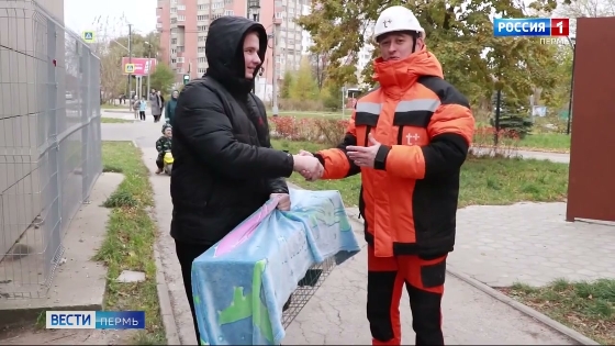 Кот Кай вернулся домой