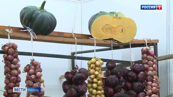 "Столько полезных продуктов!" В Перми работает выставка "Осенний сад"