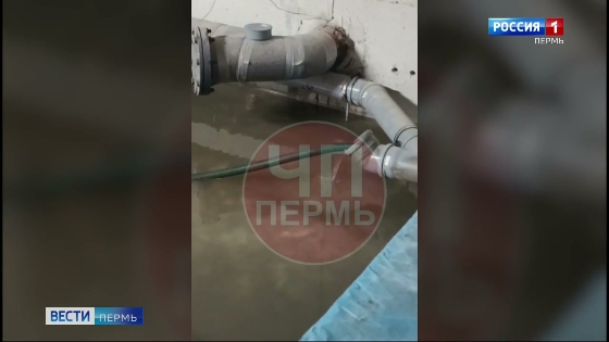 Пермяки пожаловались на затопленный канализацией подвал